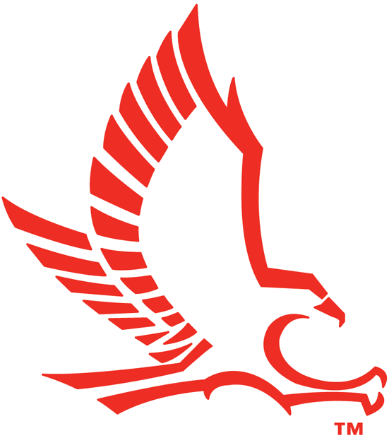 hartford hawks 1984-pres secondary logo iron on transfers for clothing fabric transfer